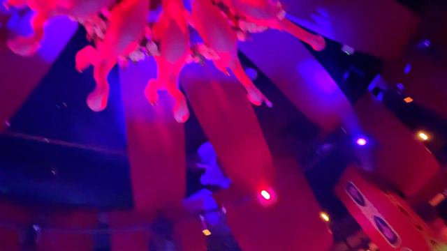 Как живется блогеру в Дубае?#дубай2024 смотреть онлайн