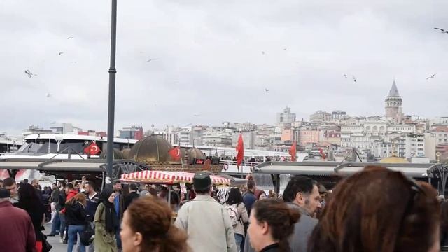 Паромные пристани
