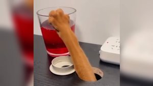 Подборка приколов с животными!???