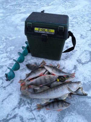 Ловля Окуня на мормышку на реке Дон