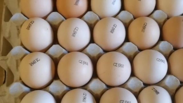 Кобб-500 Чехия. . смотреть онлайн