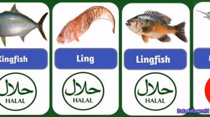 Halal And Haram Fish In Islam || Halal & Haram Fish List