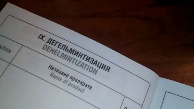 Дневник моей собаки и зачем нужен вет-паспорт смотреть онлайн