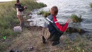 ловля судака осенью с берега