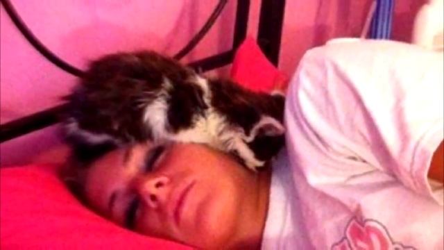 Женщина спасла с улицы гадкого котёнка, только посмотрите каким он стал смотреть онлайн