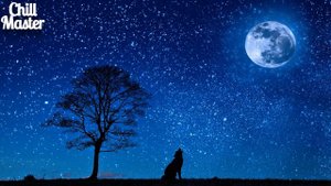 Robin Schulz - One With The Wolves