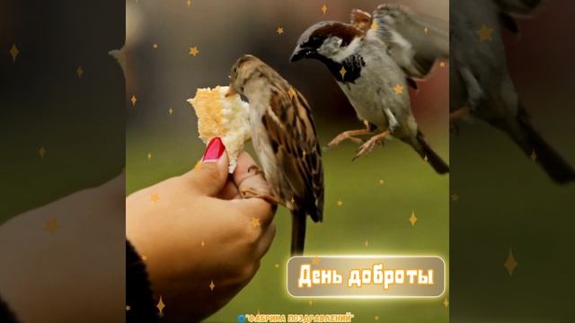 Всемирный день доброты