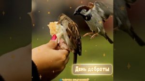 Всемирный день доброты