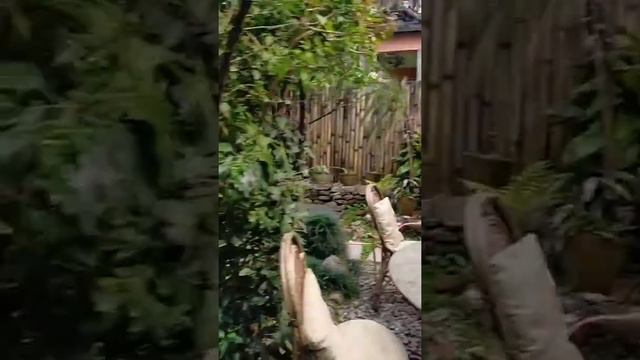 Обзор кафе в Покхаре смотреть онлайн