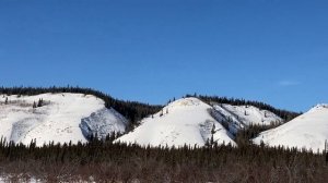 Snow Machine Choice For Yukon Bison   HD 1080p