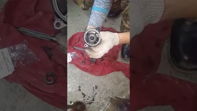 Лодочный мотор TOHATSU 18 замена масла в редукторе+замена сальника хвостовика. смотреть онлайн