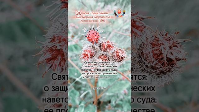 Что попросить у святой Марины...
