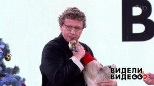 Видели видео? Лучшее. Выпуск от 08.01.2021