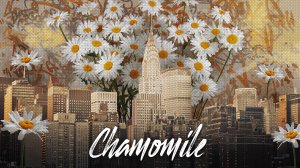 Картина - Ромашки в Нью Йорке | Chamomile in New York