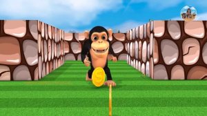 Giant Gorilla vs Monster Lion Mammoth vs Funny Monkey Esacpe From Pc Maze Game | Animals Episode -