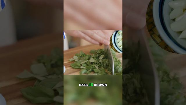 Discover the Magic of Basil Health Benefits and Culinary Uses смотреть онлайн