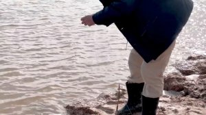 Ловля хищника на живца! Рыбалка на резинку в декабре!