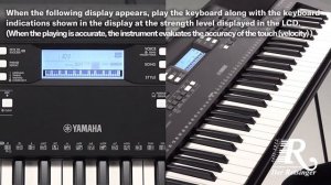 Yamaha PSR E 373 Lesson Touch Tutor