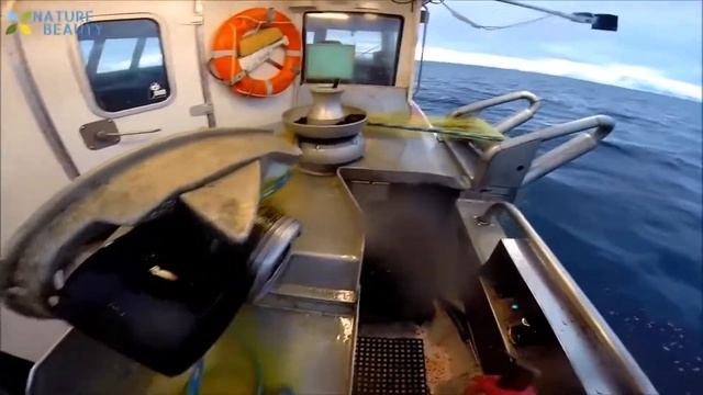 Промысловая рыбалка! Ловля и переработка рыбы на корабле, большой улов в море. Commercial fishing