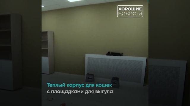 В Москве построили новый приют для безнадзорных животных