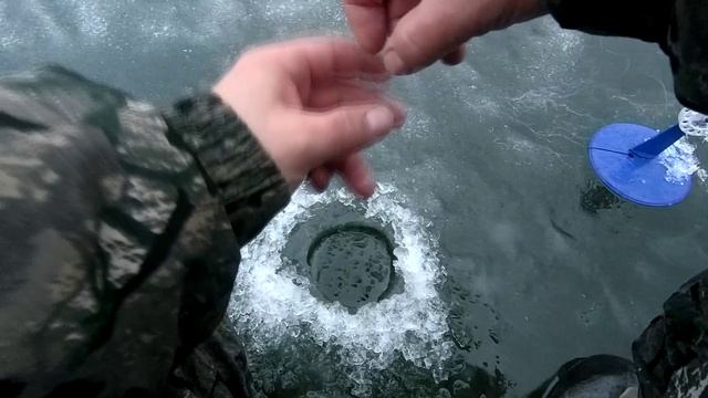 Первый лёд. Жерлицы. Ловля щуки на живца