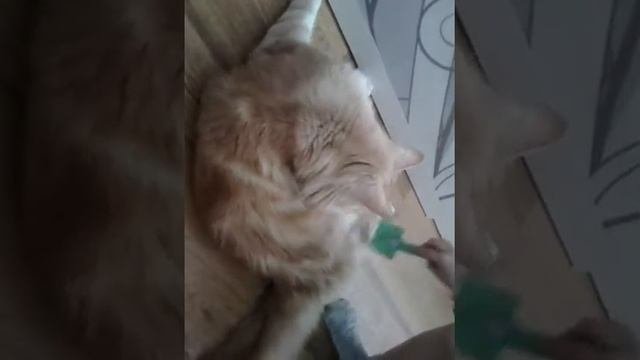 Мейкуны