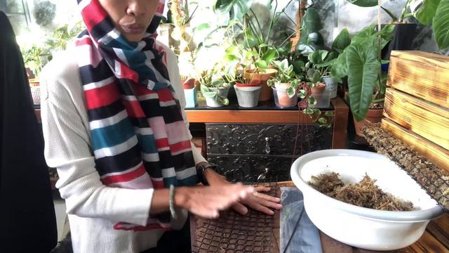 MOST EASY DIY Moss Stick Pole and Coco Fibre Pole for any Climbing Plants | Indoor Plants MOSS POLE