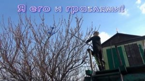 Попытки запустить пенопластовый самолет