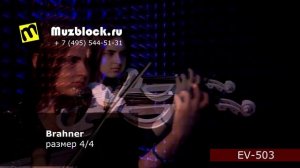 Brahner BV-400 и EV-503, обзор обычной и электроскрипки