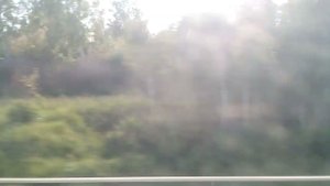 Челябинск-Магнитогорск (поезд Ласточка, часть 5)