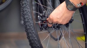 Горный велосипед Stinger Reload STD 29" (2019)