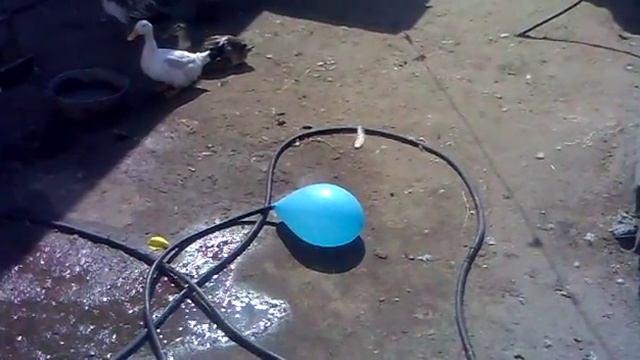 Крутой шарик смотреть онлайн