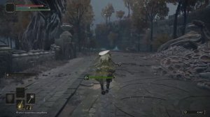 ЛУЧШИЙ ФАРМ РУН ДЛЯ НОВИЧКОВ В ELDEN RING | Гайд по фарму в Elden Ring | Быстрый фарм в Elden Ring