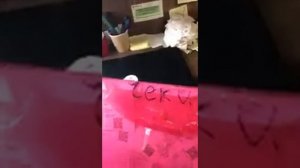 Как хранить чеки?