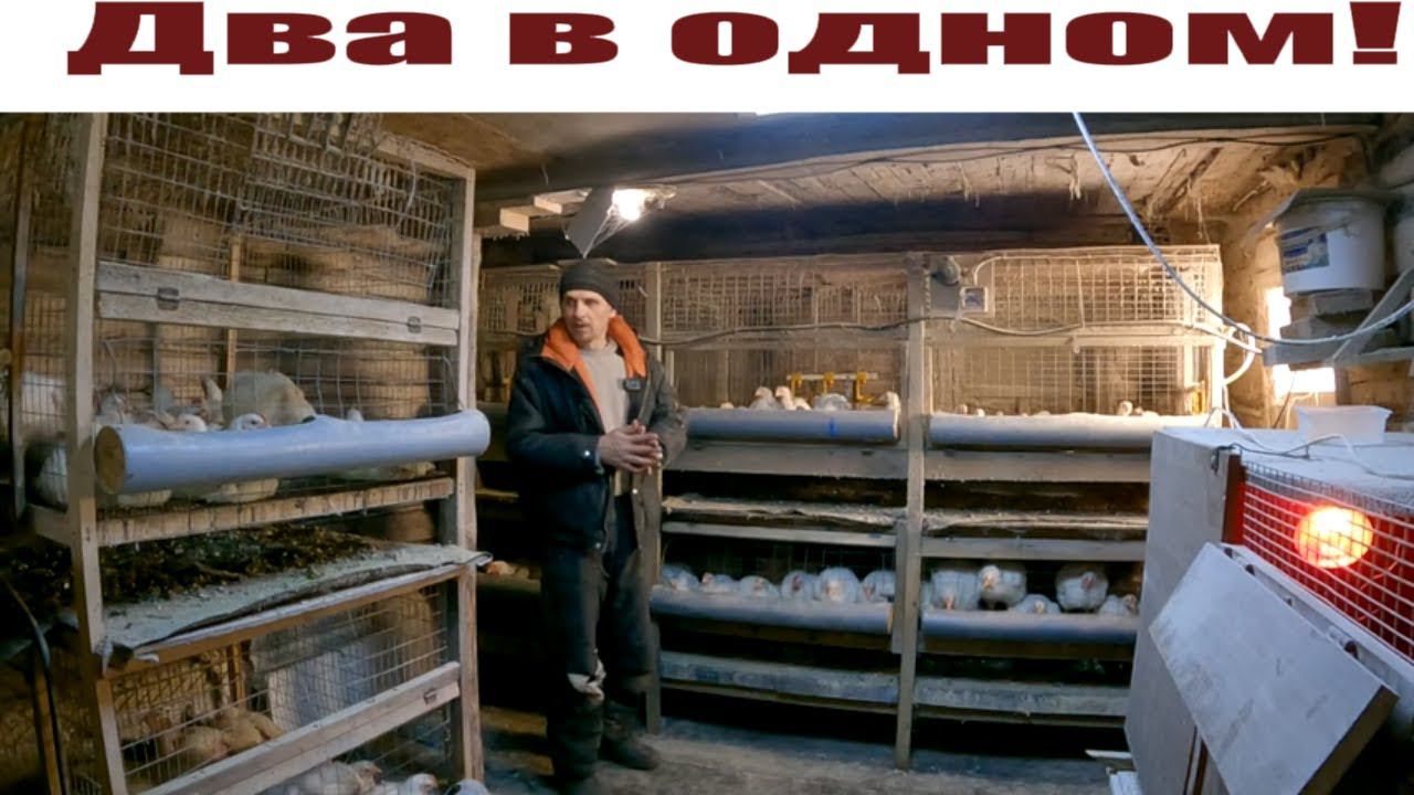 Бюджетный "ДВА в ОДНОМ" - большой брудер для цыплят и клетка для бройлеров своими руками! смотреть онлайн