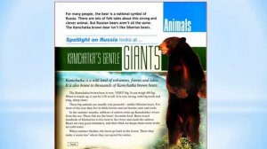 Kamchatka`s Gentle Giants. Нежные гиганты Камчатки. (УМК Spotlight on Russia 5)