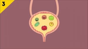 Почему нельзя терпеть, когда хочется в туалет?