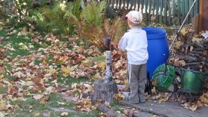 Андрюша  рубит дрова на даче