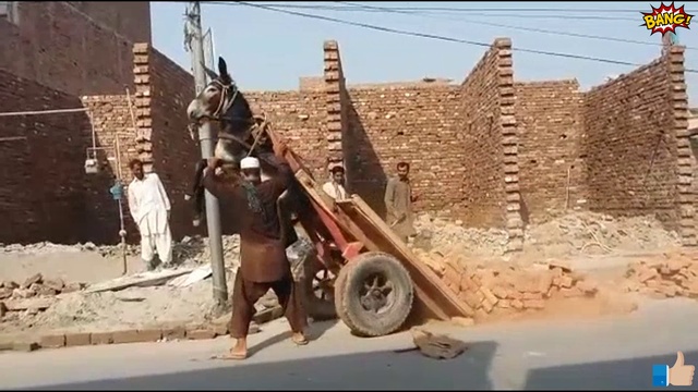 ЖЕСТЬ!!! ТОПОВАЯ РАЗГРУЗКА ТЕЛЕГИ!!! ОСЕЛ В ШОКЕ!!! смотреть онлайн