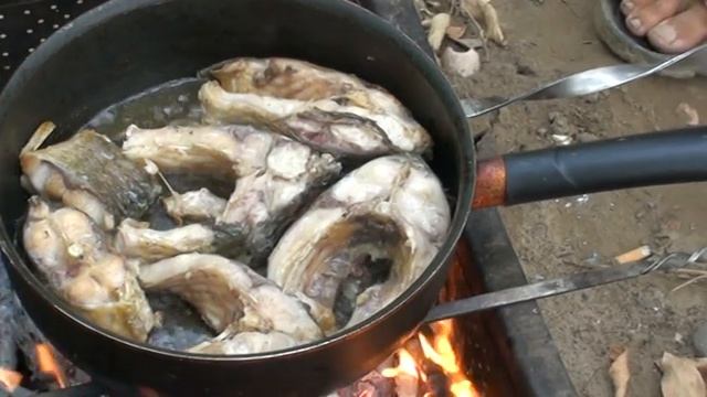 жарим большого сазана смотреть онлайн