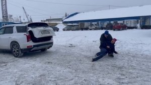 Дрессировка собак в Омске - ОЦССС (2)