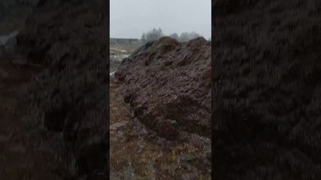 Заполняю ямы торфом,какой торф лучше