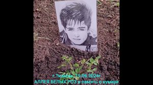 ❤РОЗЫ ДЛЯ ЮРЫ ШАТУНОВА❤Аллея белых роз❤Тюмень❤В память о легенде❤