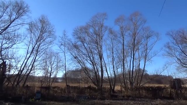 VLOG: вопросы - ответы. Ну, вы, блин, даёте... Жизнь в деревне семьи Теклиных.