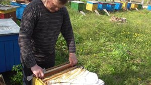 Постановка магазинов на ульи (май 2015 г.)