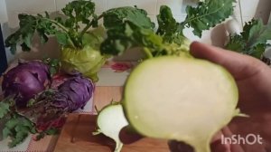 СУПЕР сорта КОЛЬРАБИ: "Венская белая" и "Венская голубая".