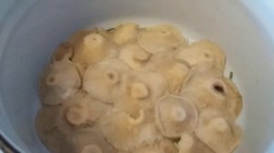 Засолка груздей холодным способом в кастрюле