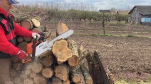 Stihl ms 290 !!