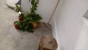 КРЫМ. ЧЕРНОМОРСКОЕ. РЕАЛЬНО ЛИ СНЯТЬ ЖИЛЬЁ НА СУТКИ И ЕГО СТОИМОСТЬ.