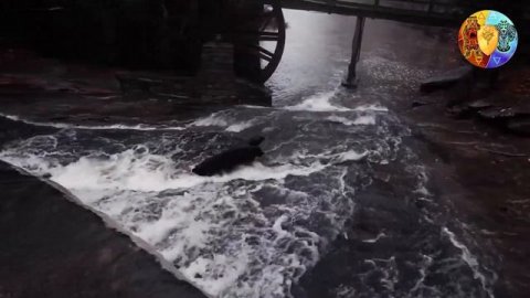 Приворот и его последствия. Как не стать объектом приворота